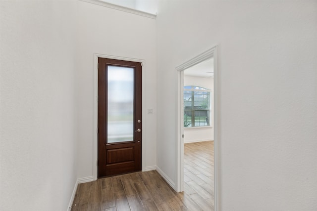 foyer featuring wood-type flooring