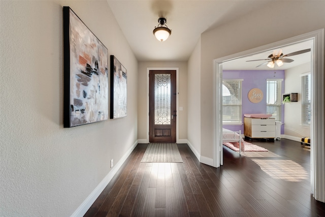 entryway with ceiling fan and dark hardwood / wood-style flooring