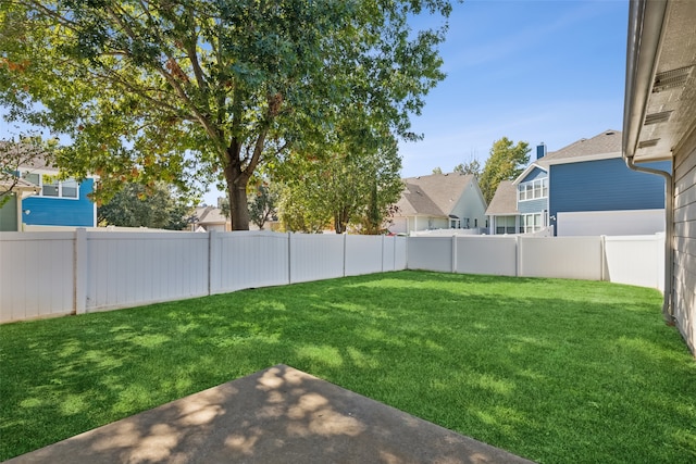 view of yard featuring a patio