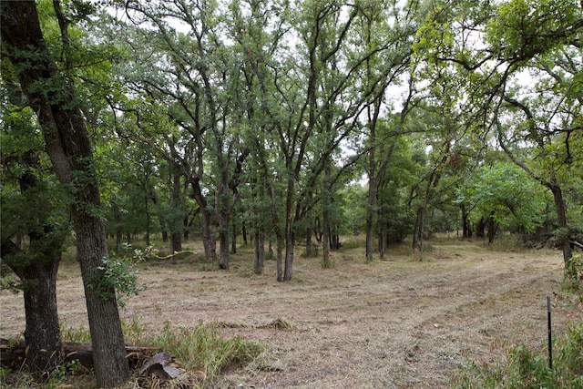 Listing photo 2 for TBD Garner Adell Rd, Weatherford TX 76088