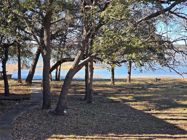 property view of water