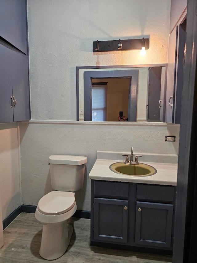 bathroom with vanity, toilet, and wood-type flooring