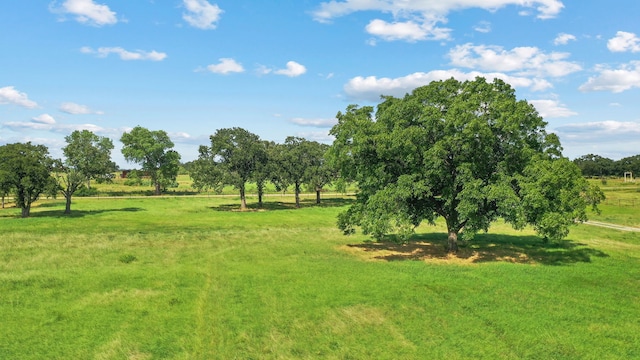 view of yard with a rural view