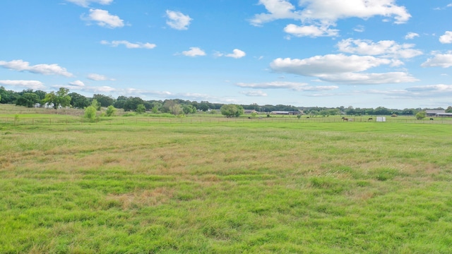 view of local wilderness with a rural view