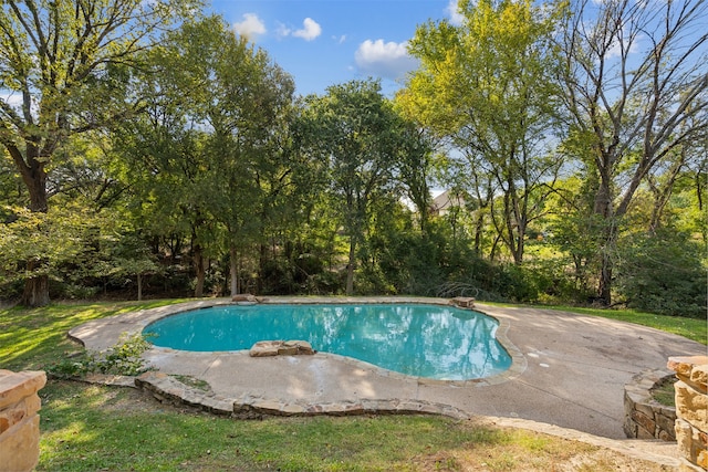 view of pool with a patio area