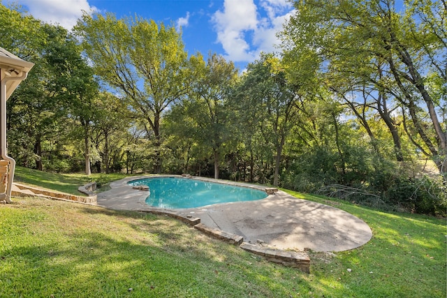 view of swimming pool featuring a patio area and a lawn