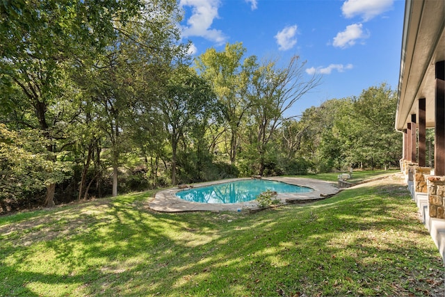 view of swimming pool featuring a yard