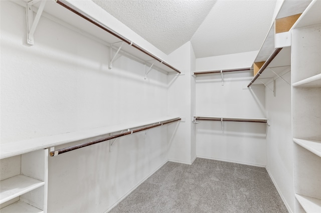 walk in closet with light colored carpet