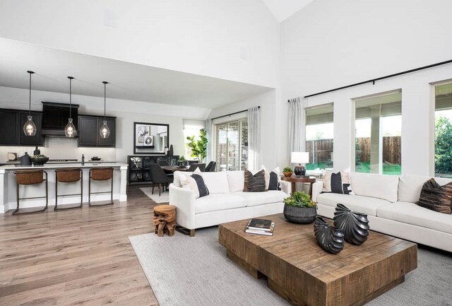 4127 Olmsted Dr, Rockwall, TX 75032 - living room with light hardwood / wood-style flooring and high vaulted ceiling