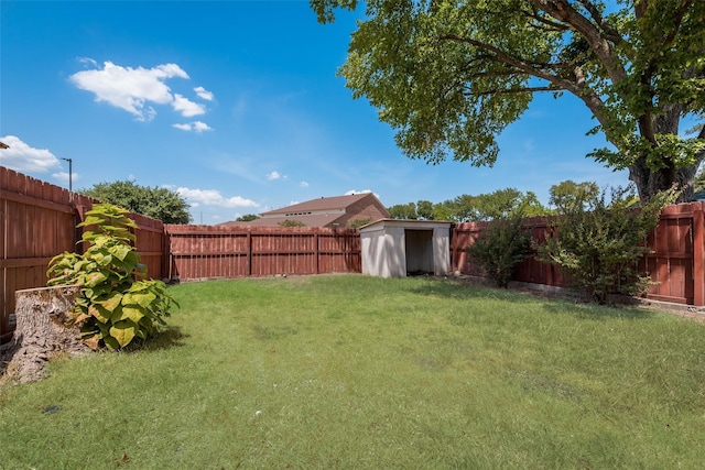 view of yard featuring a shed