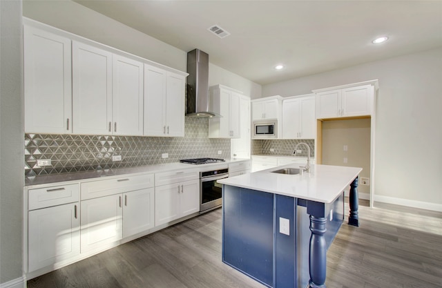 kitchen featuring white cabinets, wall chimney exhaust hood, sink, and stainless steel appliances