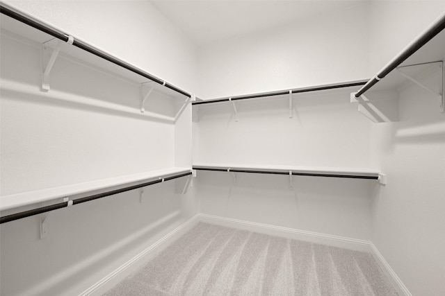 spacious closet with carpet flooring