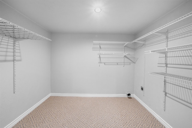 walk in closet featuring carpet flooring