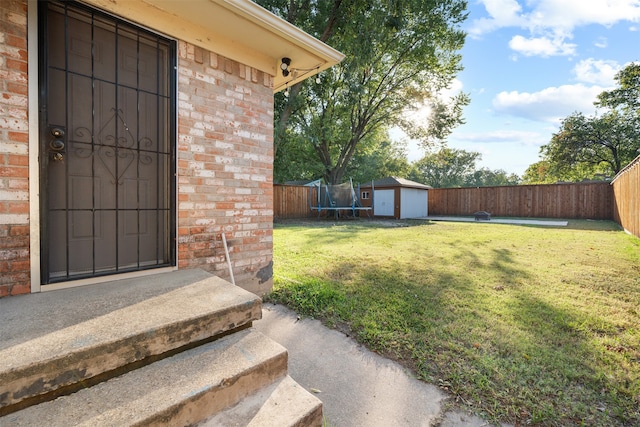 view of yard featuring a trampoline and a storage shed