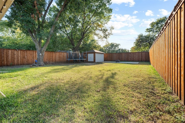 view of yard with a storage unit and a trampoline