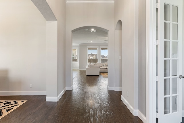 corridor with crown molding and dark hardwood / wood-style floors