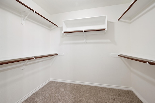 spacious closet featuring carpet floors