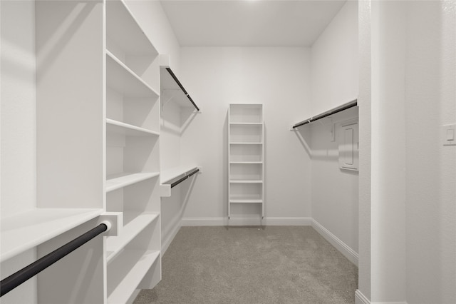 spacious closet with light carpet