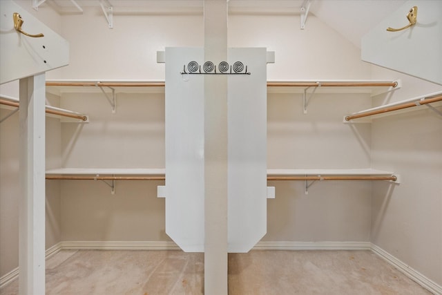 spacious closet with carpet