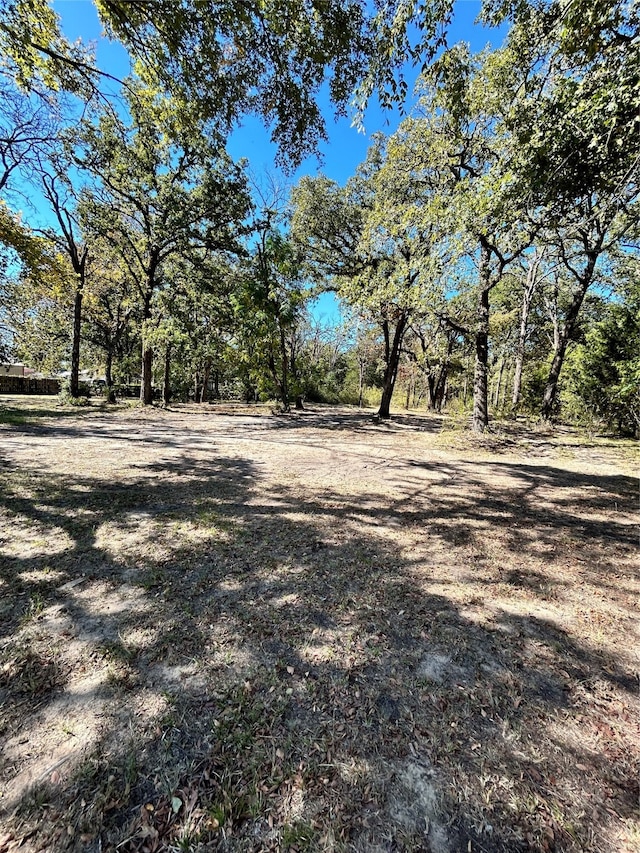 Listing photo 3 for 208 N Old Indian Trl, Tool TX 75143