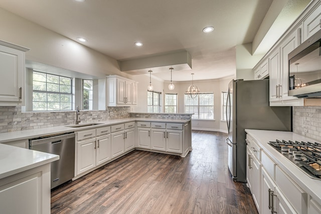 kitchen featuring plenty of natural light, white cabinetry, stainless steel appliances, and dark hardwood / wood-style flooring