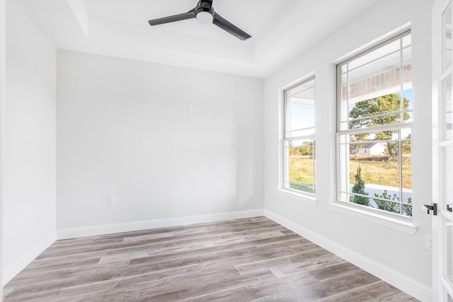 empty room with light hardwood / wood-style floors, a raised ceiling, a wealth of natural light, and ceiling fan