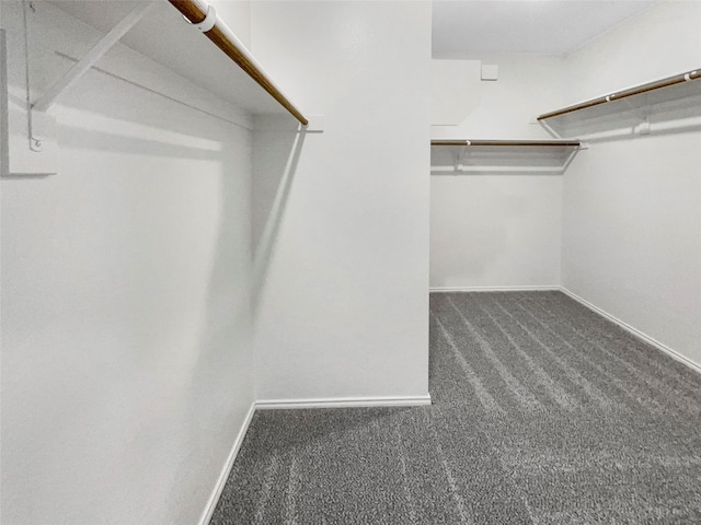 walk in closet with dark colored carpet