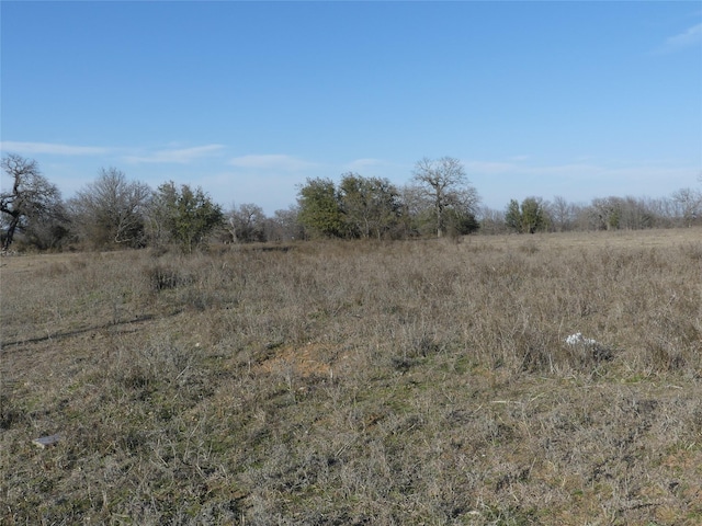 Listing photo 3 for 15.01ACRES Fm 2210, Bridgeport TX 76426