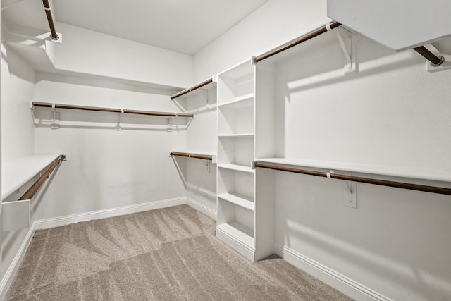 spacious closet featuring light colored carpet