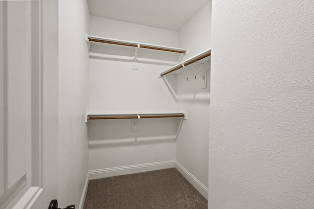 walk in closet featuring carpet floors