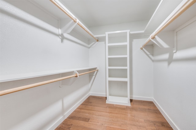 spacious closet with wood-type flooring