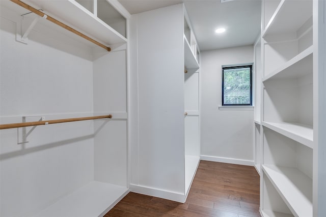 walk in closet featuring hardwood / wood-style floors