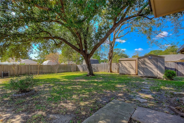 view of yard with a shed