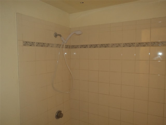 interior details featuring tiled shower