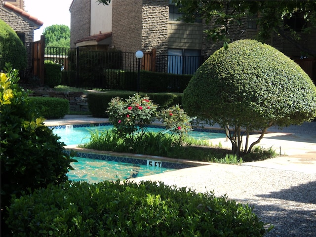 view of swimming pool