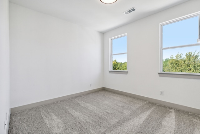 empty room featuring carpet floors and plenty of natural light