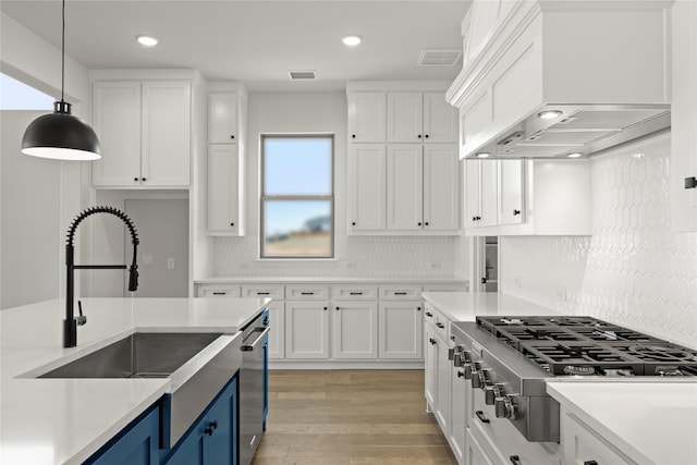 kitchen featuring white cabinets, appliances with stainless steel finishes, custom exhaust hood, blue cabinetry, and a sink