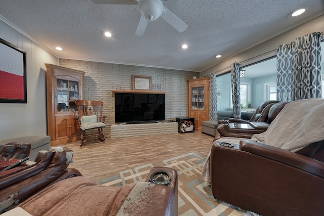 living room with crown molding, a textured ceiling, and ceiling fan