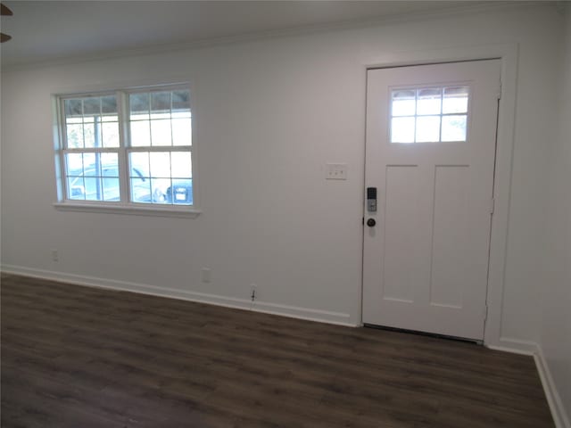 entrance foyer with a wealth of natural light, crown molding, dark hardwood / wood-style floors, and ceiling fan