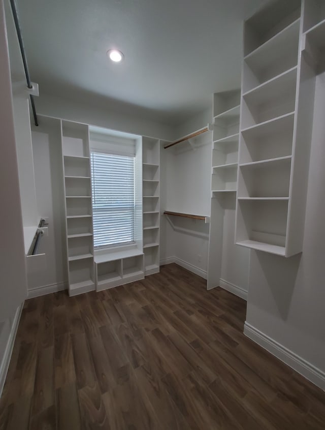 walk in closet with dark hardwood / wood-style flooring