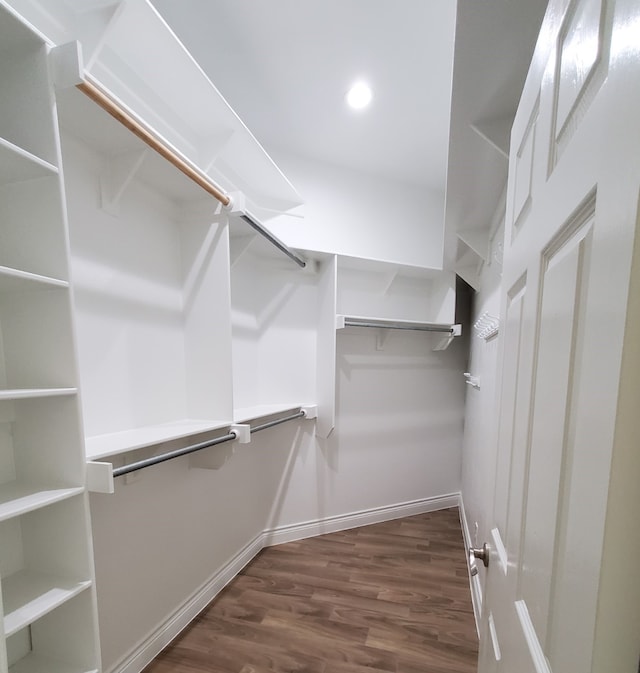 spacious closet featuring dark wood-style flooring