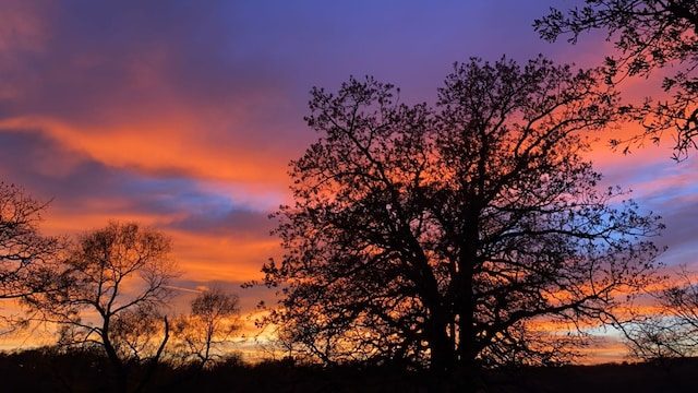 view of nature at dusk