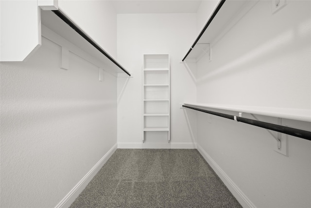 walk in closet with carpet flooring