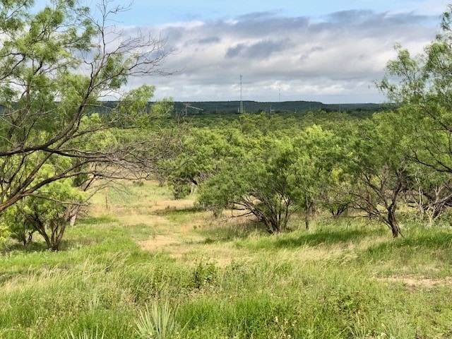 Listing photo 3 for 172 Fm 601, Albany TX 76430