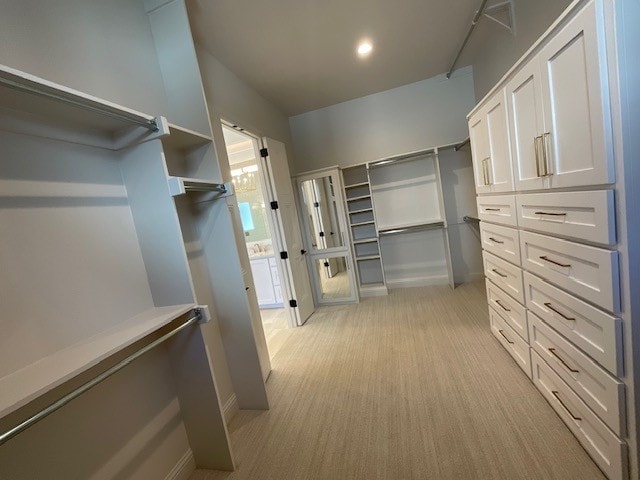 view of walk in closet