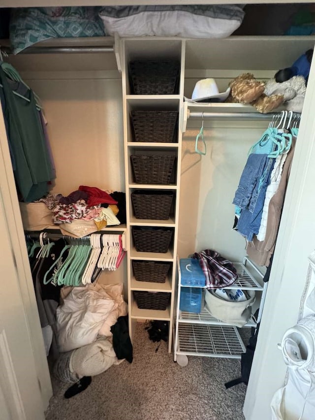 spacious closet featuring carpet floors