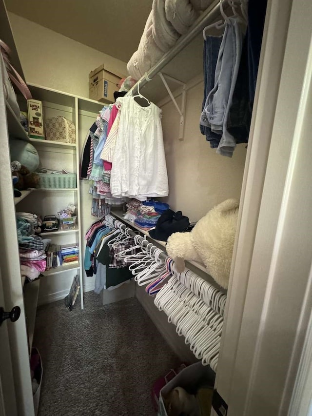 spacious closet with carpet floors