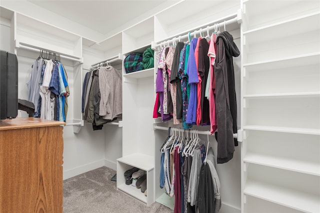 walk in closet with carpet