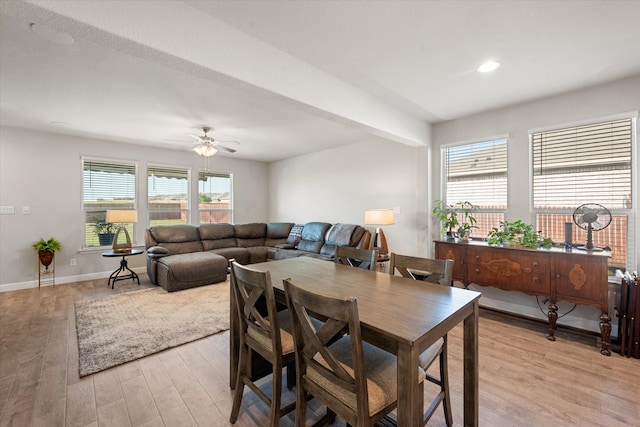 dining area with light hardwood / wood-style floors and ceiling fan