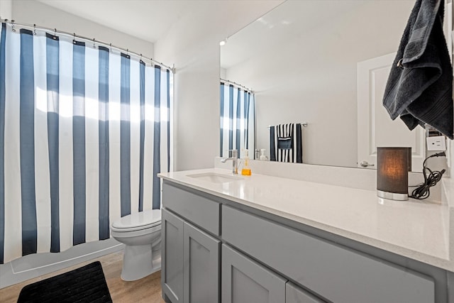 bathroom featuring toilet, hardwood / wood-style floors, vanity, and a shower with shower curtain